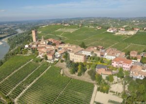 bello_franco_barbaresco_vigne