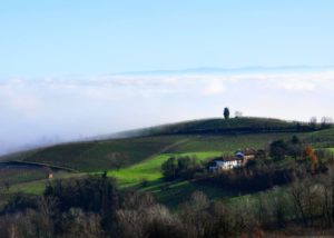 bello_franco_colline_nebbia_2