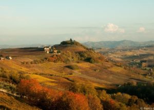 bello_franco_vigne_vista_dall_alto_9