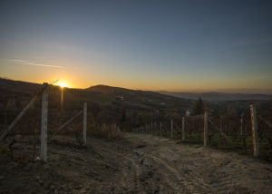 hohler_nicola_tramonto_su_langhe_2