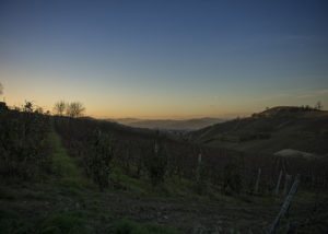 hohler_nicola_tramonto_su_langhe_1