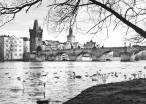 andrea_pesce_ponte_carlo_praga